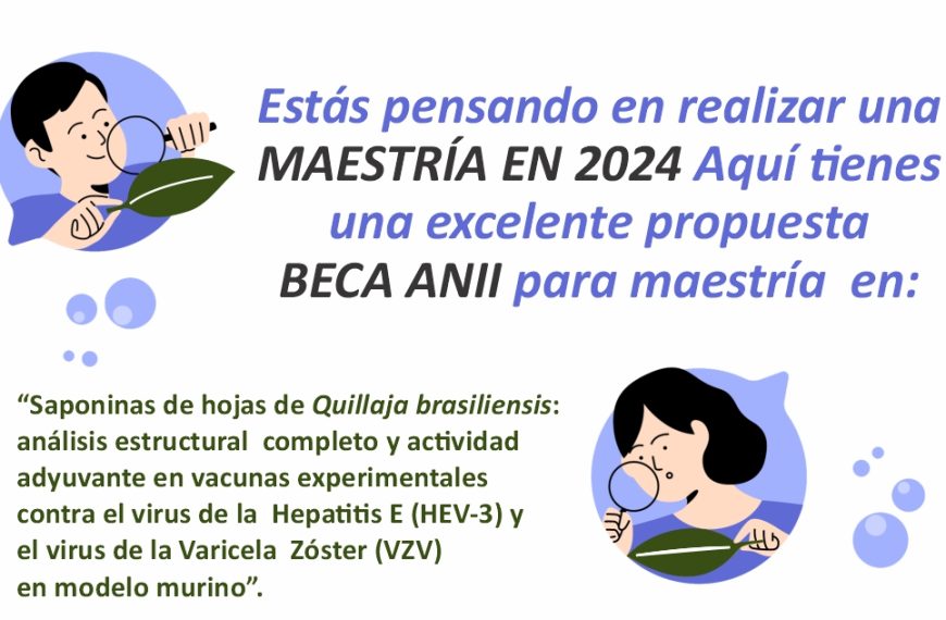 Atención: llamado a BECA ANII para maestría. Postulaciones hasta el 10 de enero de 2024