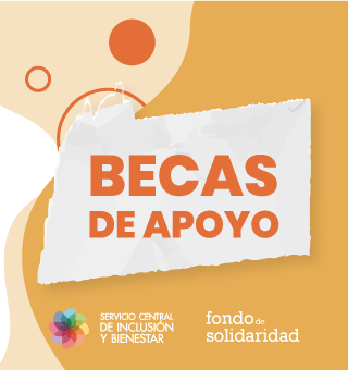 BECAS DE APOYO